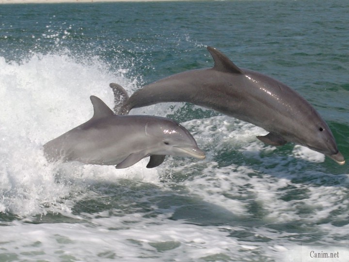 Морская рыбалка и прогулки - лучшее на Майские!