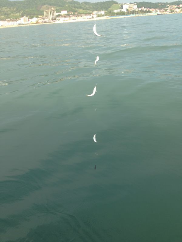 Морская рыбалка и прогулки - лучшее на Майские!