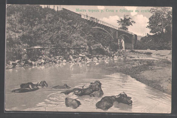 Открытки до 1917 г.