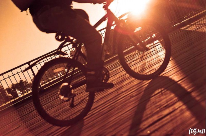 Прокат велосипедов и прочего спортинвентаря!