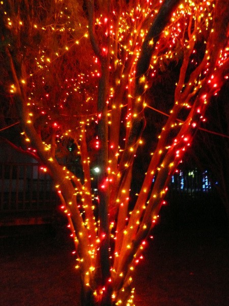 Декоративная Светотехника