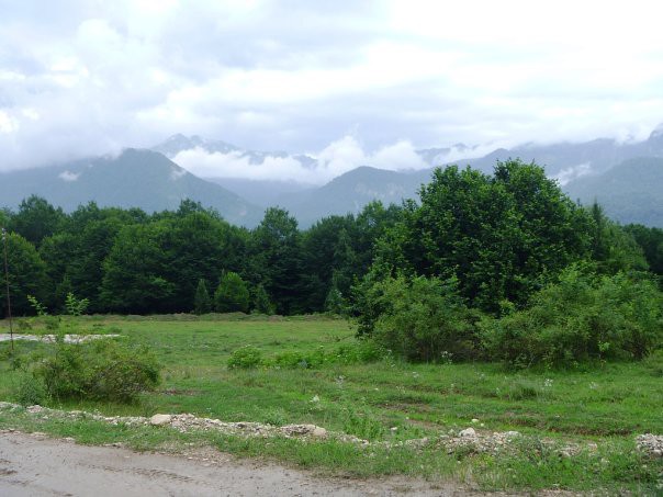 Продажа Мёда.( с.Аибга-  Пчеловод)