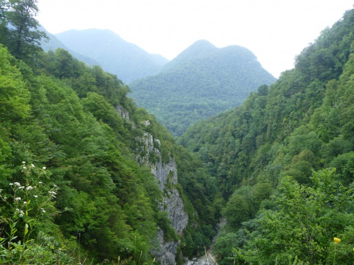 Продажа Мёда.( с.Аибга-  Пчеловод)