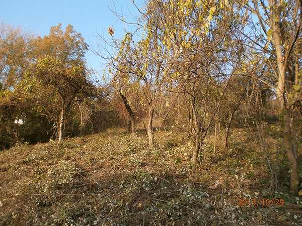 Продаю 17 соток в Центральном районе